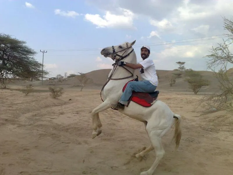 فندق مزرعة واسطبل الريان للخيل العربية الأصيلة المدينة المنورة 0*, المدينة المنورة المملكة العربية السعودية
