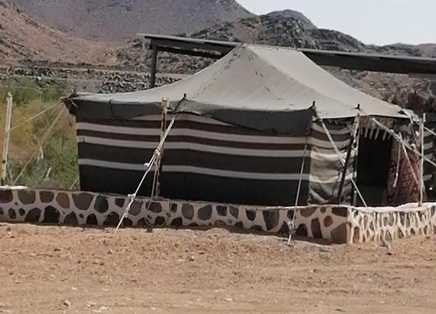 فندق مزرعة واسطبل الريان للخيل العربية الأصيلة المدينة المنورة