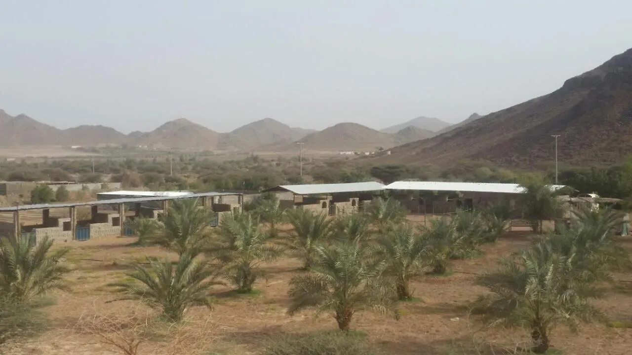 Kemp Hotel مزرعة واسطبل الريان للخيل العربية الأصيلة Medína